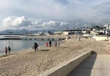 appartement vue mer