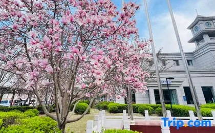 Beijing Shunyi Hotel