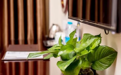 Greentree Inn Guangdong Airport Huaxi Road Express Hotel