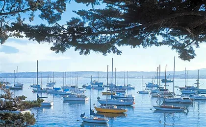 Monterey Bay Inn