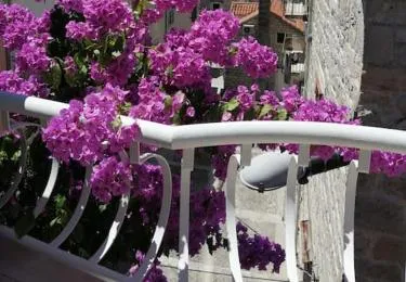 CENTER (THE HEART) OF MAKARSKA