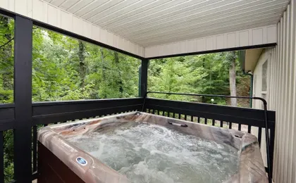 Cedar Falls 8 - Three Bedroom Chalet
