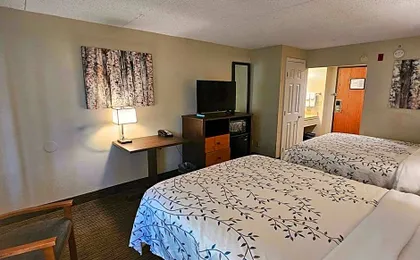 Americinn by Wyndham Birch Run/Frankenmuth