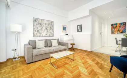 Elegant Light Two Bedroom Apartment in City Center