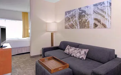 SpringHill Suites by Marriott Memphis East/Galleria