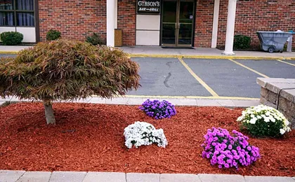 Rodeway Inn & Suites East Windsor