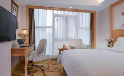 Vienna Hotel