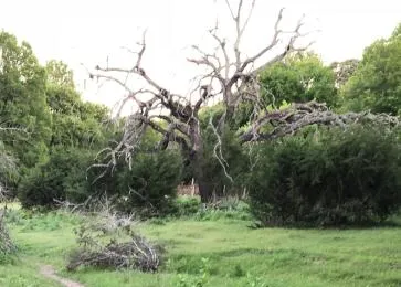 Perfect Country-Side Get-Away