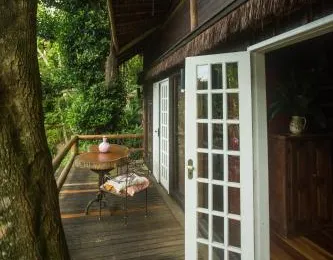 Rain Forest Paradise