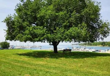 Apartman Cervar Porat