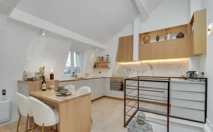 Historical Apartment in the Heart of Paris - 4