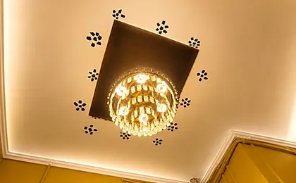 Ambricana Paying Guest House
