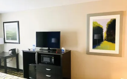 Comfort Inn Airport & Conference Center