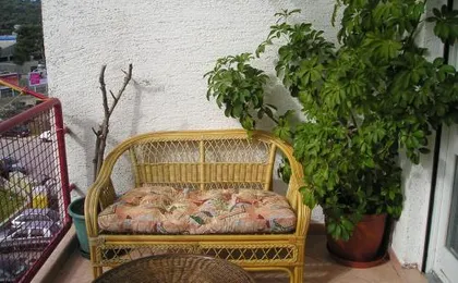 Apartment Ante