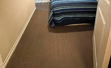 Vernon Vibes