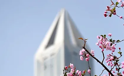 JW Marriott Hotel Shanghai At Tomorrow Square