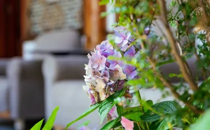 Shanfeng Garden Inn (Lijiang Ancient Town Mufu Branch)