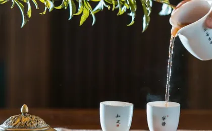 Lijiang Yueyangli garden Swimming Pool designer's home stay
