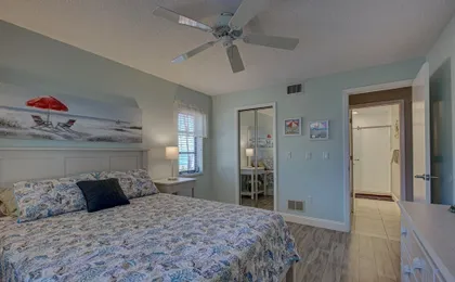Beach Palms 2A