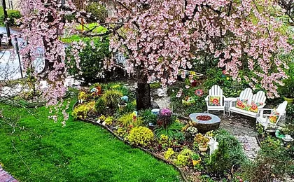Pettigru Place Bed & Breakfast