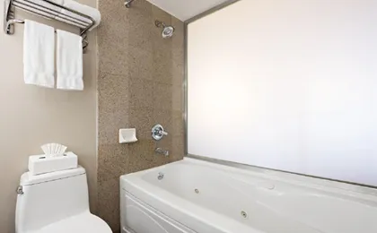 Holiday Inn Express New York-Brooklyn