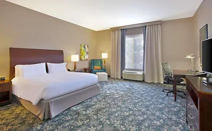 Hilton Garden Inn Detroit Novi