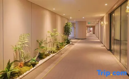 Homeinn Plus Hotel (Shenzhen Futian CBD Exhibition Center)