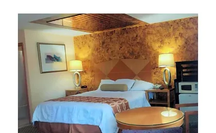 OYO Sunflower Inn