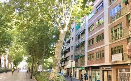 CARRERA HOME