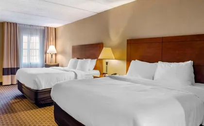 Comfort Inn & Suites Raphine - Lexington Near I-81 And I-64
