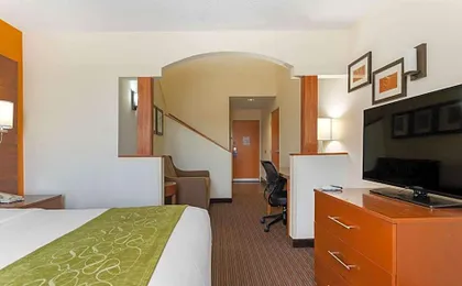Comfort Suites Stevensville - St. Joseph