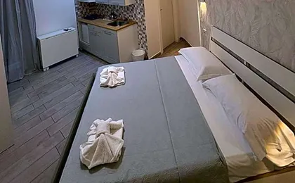 ViRen Rooms