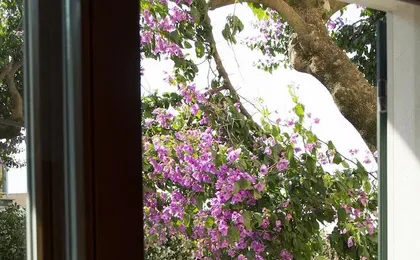 Villa Lavandula