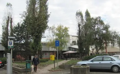 Apartment Alma