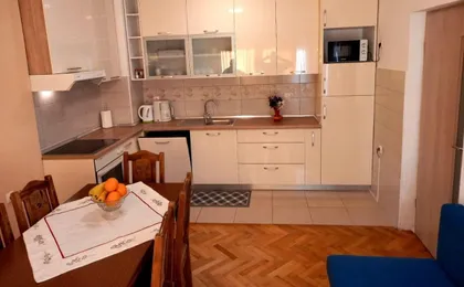 Apartment Miki