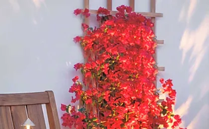 Casa Munras Garden Hotel and Spa