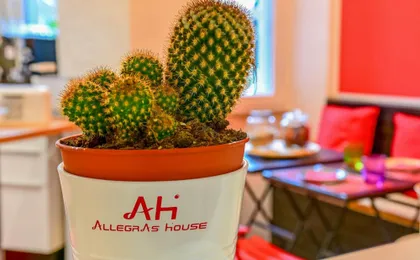 Allegras House Caracciolo