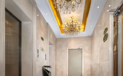 Vienna International Hotel Shenzhen Bao'an Airport Hourui Metro Station