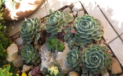 Rooms Kresan