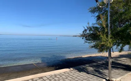 Beach & Garden
