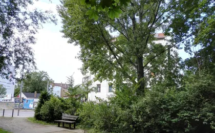 Amsterdam-Einraumwohnung