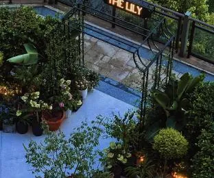 Thelily Designer Hotel (Chongqing Changjiahui Store)
