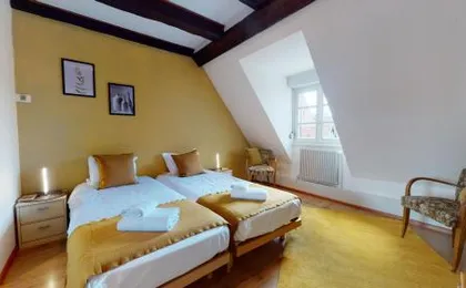 Aux Bijoux de Colmar - Le Saphir - 1 PARKING GRATUIT