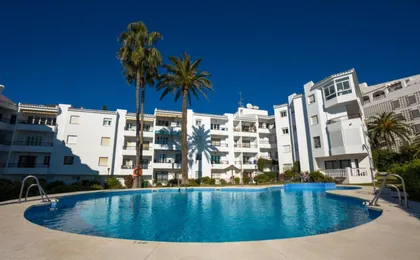 Palmeras 72 Menyber