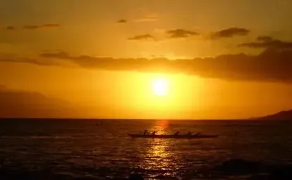 Maui Vista #1-319