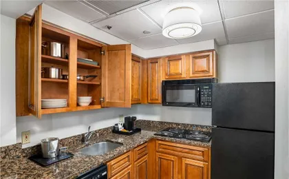 Wyndham Houston - Medical Center Hotel and Suites