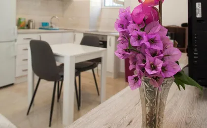 King's Garden Studio