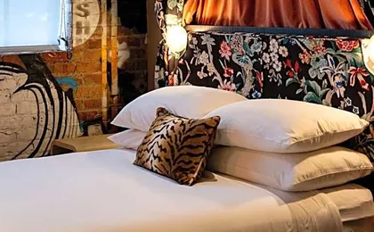 The Radical Asheville, Tapestry Collection by Hilton