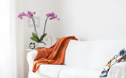 Lovely Sempione Apartment