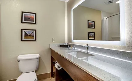 Comfort Inn & Suites Millbrook-Prattville